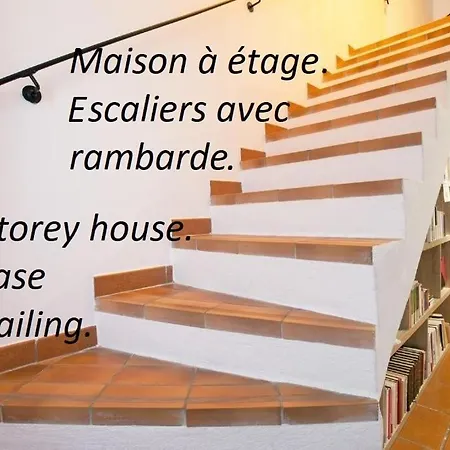 Urbain Du Théâtre Antique Maison De Et Terrasse Orange (Vaucluse)